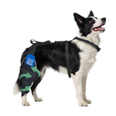 HappyHao brace-genou-chien-arriere pour soutien stable et confortable.