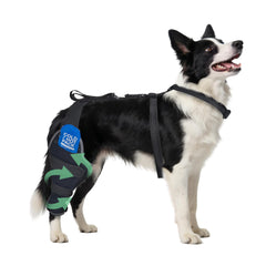 HappyHao brace-genou-chien-arriere pour soutien stable et confortable.