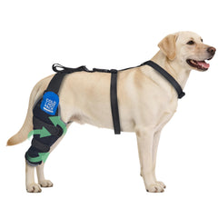 HAPPYHAO genou chien arrière droit — soutien stable pour la mobilité.