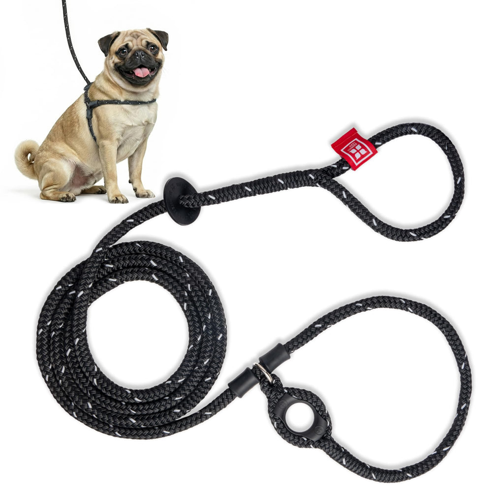 Harness Lead harnais sans tir et anti-fuite pour promenades calmes.