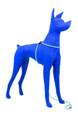Harness Lead réglage et taille optimales pour un ajustement sûr