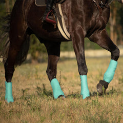 Protection sport Harrison Howard pour les articulations et tendons lors des parcours.