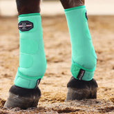 Bottes Harrison Howard avant absorbant les chocs pour les jarrets du cheval