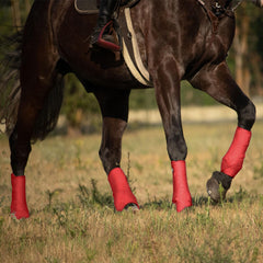 Bottes Harrison Howard protection des membres inférieurs, maintien et soutien pendant l'entraînement.
