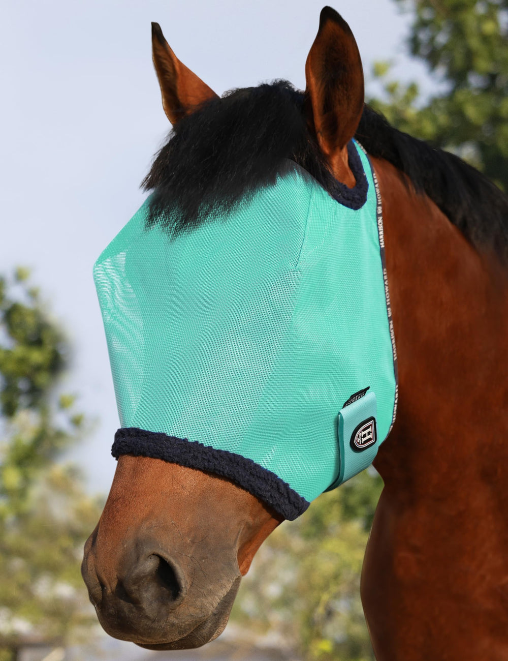 Masque maillage Harrison Howard menthe — face du cheval pour protection UV et confort.