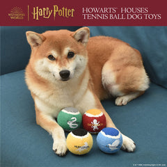 Balles Harry Potter Gryffindor pour chiens, design léger et facile à transporter.