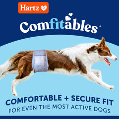 Hartz Comfitables : fermeture large et sûre pour un ajustement fiable.