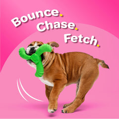 Jouet Hartz Duraplay odeur bacon, forme variée pour toutes les silhouettes de chiens.