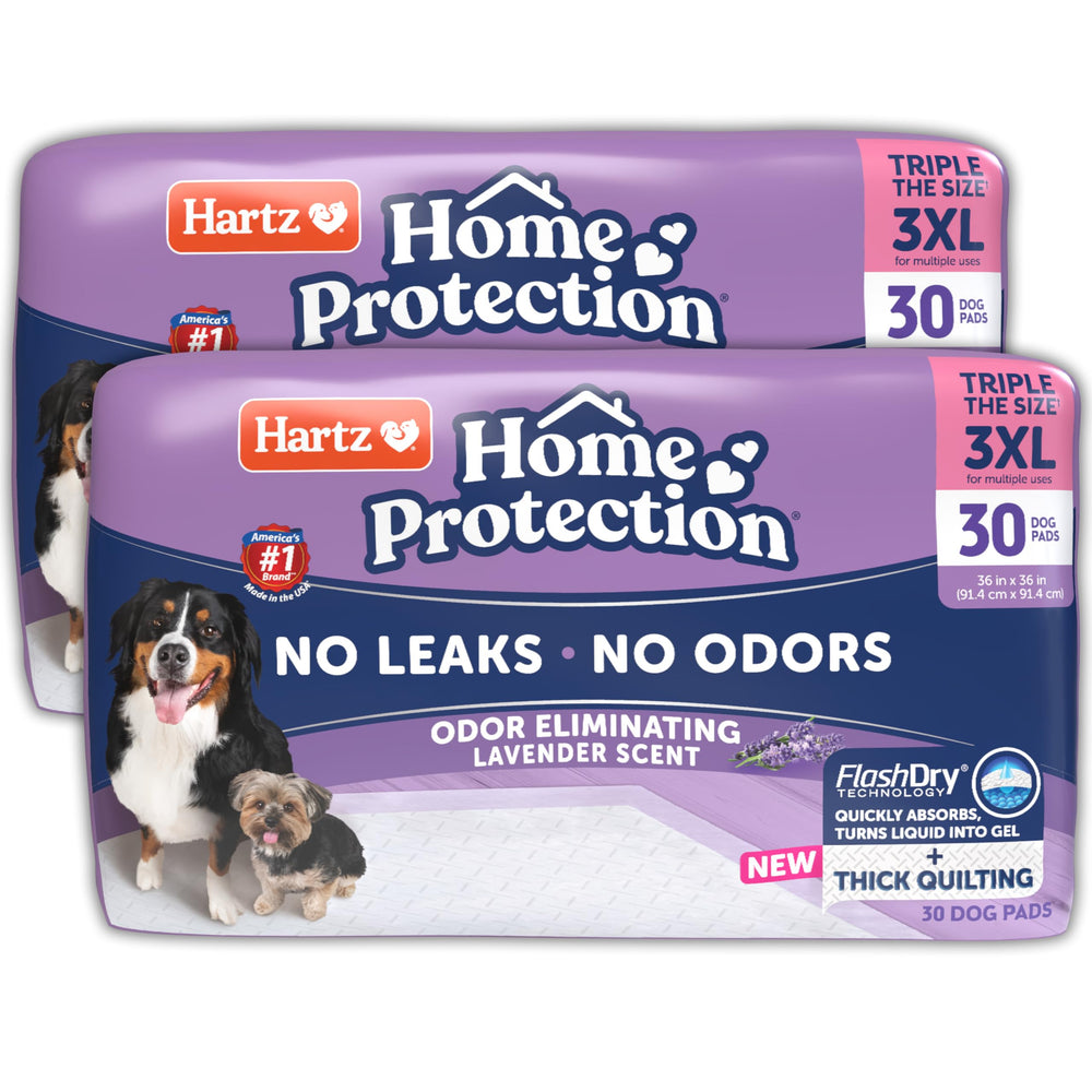 Tapis Hartz Home Protection 3XL, absorption élevée et protection anti-fuites pour chien.