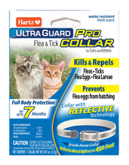Collier Hartz UltraGuard Pro pour chat avec reflet, visibilité nocturne améliorée.