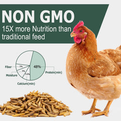 HATORTOP calcium élevé pour poulets, soutien des os et ponte.