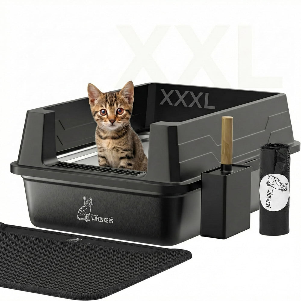 HAUS OF WHISKERS XXXL boîte litière inox – espace généreux pour gros chats et propreté durable