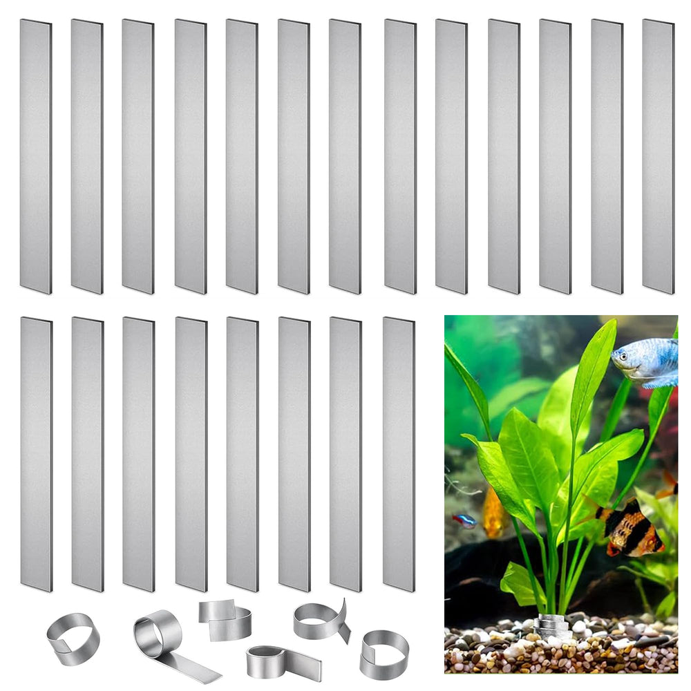 HAVANSIDY ancres-plante-aquarium en boucle pour fixation stable.