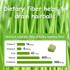 HavenJanny morceau d'herbe pour chat, contribue à la fraîcheur de l’haleine.