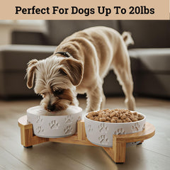 HB Design Co bols céramiques doubles, faciles à nettoyer et sans fuite
