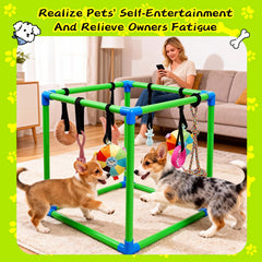 HBLEDOT Puppy Play Gym, jouet dentition caoutchouc pour mâchouiller en sécurité.