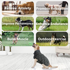 Intérieur doux HCHYEY, gilet lesté pour chien, confort prolongé.