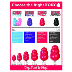 HDP Kong Classic 2-pack présentation ensemble pour jeux quotidiens et mastication