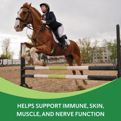 Cuillère-dose Health-E: facilite l'apport journalier dans l'alimentation du cheval.