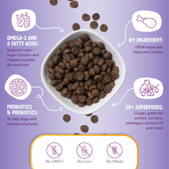 Health Extension Lite: bol-nourriture-chien, repas équilibré favorisant la satiété.