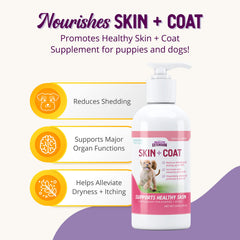Health Extension Skin et Coat: chien au pelage brillant après utilisation régulière.