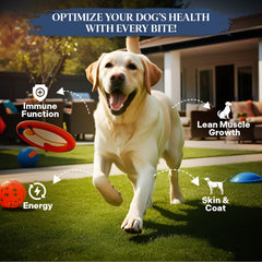 Healthy Dogma PetMix avec eau chaude, réhydratation simple et repas complet.