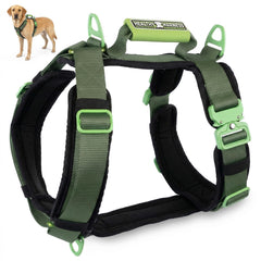 Healthy Harness montre le harnais chien en vue frontale pour un ajustement sûr et confortable.