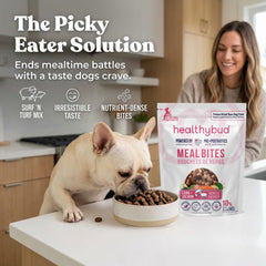 Healthybud ingredients agneau saumon lyophilisees, qualite humaine pour chien