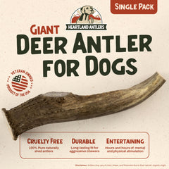 Heartland Antlers: morceau dent naturel pour une hygiène dentaire quotidienne.