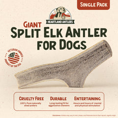 Heartland Elk Antlers – haleine plus fraîche après la mastication