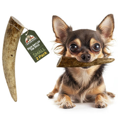 Heartland ramures de cerf pour chien – pack petit pour dentition naturelle