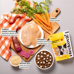 Morceaux de poulet réels dans une friandise Heckova! pour chiens exigeants et actifs.