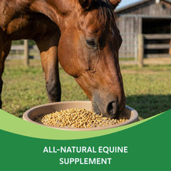 HEIRO : poudre contenant magnésium et vitamine E pour le bien-être nutritionnel quotidien.