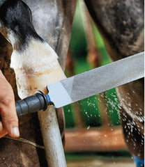 Heller Excel râpe-sabot longueur de 14 pouces et poignée stable.