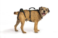 Harnais Help 'Em Up: relevage du corps pour chien et confort durable.