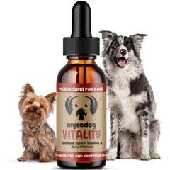 MycoDog Vitalité – bouteille-doseur pour doser facilement le complément canin.