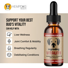 MycoDog Vitalité – tableau d'ingrédients affiché, champignons et adaptogènes.
