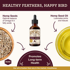 Application orale de Hemp Well Bird Oil pour compléments nutritionnels.