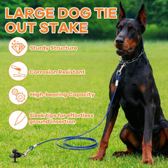 HEPFLANZE piquet chien 10 mm, résistance adaptée aux chiens forts