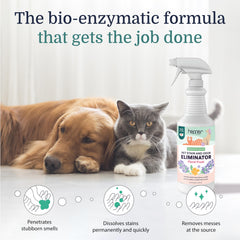 Spray Hepper Advanced Bio-Enzyme sur canapé, neutralise les odeurs.