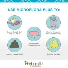 Herbsmith Microflora Plus — probiotiques et prébiotiques pour l’équilibre intestinal.