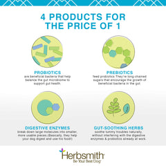 Herbsmith Microflora Plus – gélules douces en gros plan, facilité d’ingestion quotidienne.