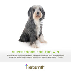 Herbsmith Nutrients – ingrédients superaliments – soutien nutritionnel optimal pour chiens.