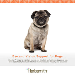 Herbsmith Spector — vision chien: formule riche en lutéine et bêta-carotène.