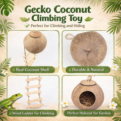 HERCOCCI gecko à crête: vigne réptile extensible en trois dimensions.