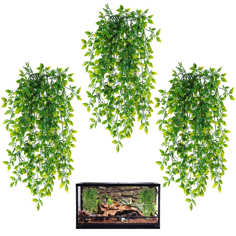 HERCOCCI: lianes suspendues pour terrarium offrant cachettes naturelles