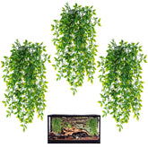 HERCOCCI: lianes suspendues pour terrarium offrant cachettes naturelles