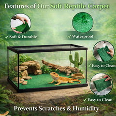 Tapis HERCOCCI terrarium 39x20, vue arrière, facile à nettoyer et réutilisable.