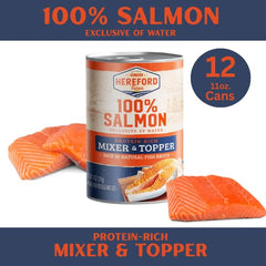 Hereford Farms Chien mange Saumon en bouillon — expérience gustative satisfaisante lors du repas.