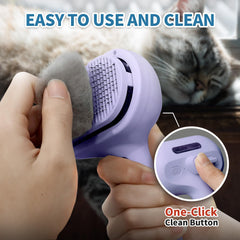HeroKitty Brosse Vapeur réservoir eau: réservoir clair pour ajouter eau ou soin.